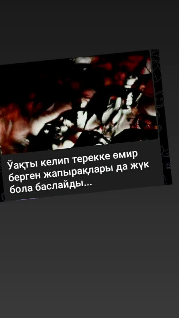 @Гульчи Казбекова