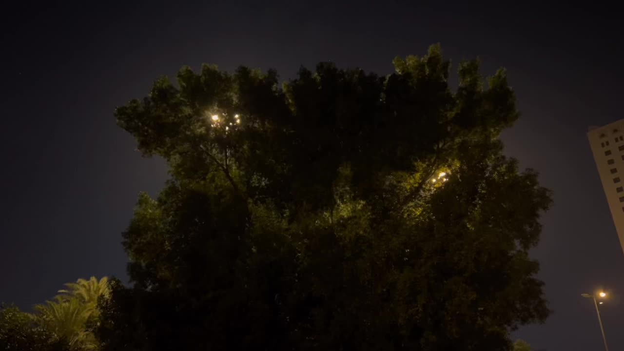 @فُ