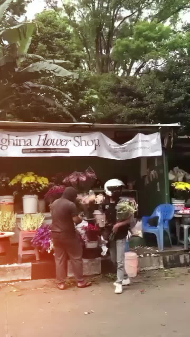 @𝑴 𝑨 𝑺 𝑩 𝑬 𝑻 ✮