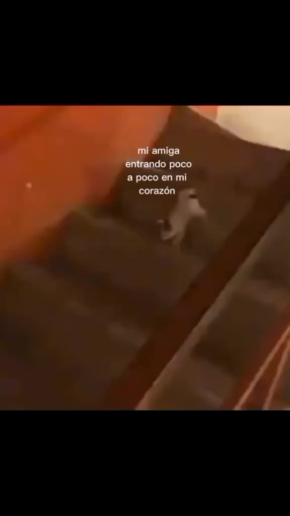 @m.s