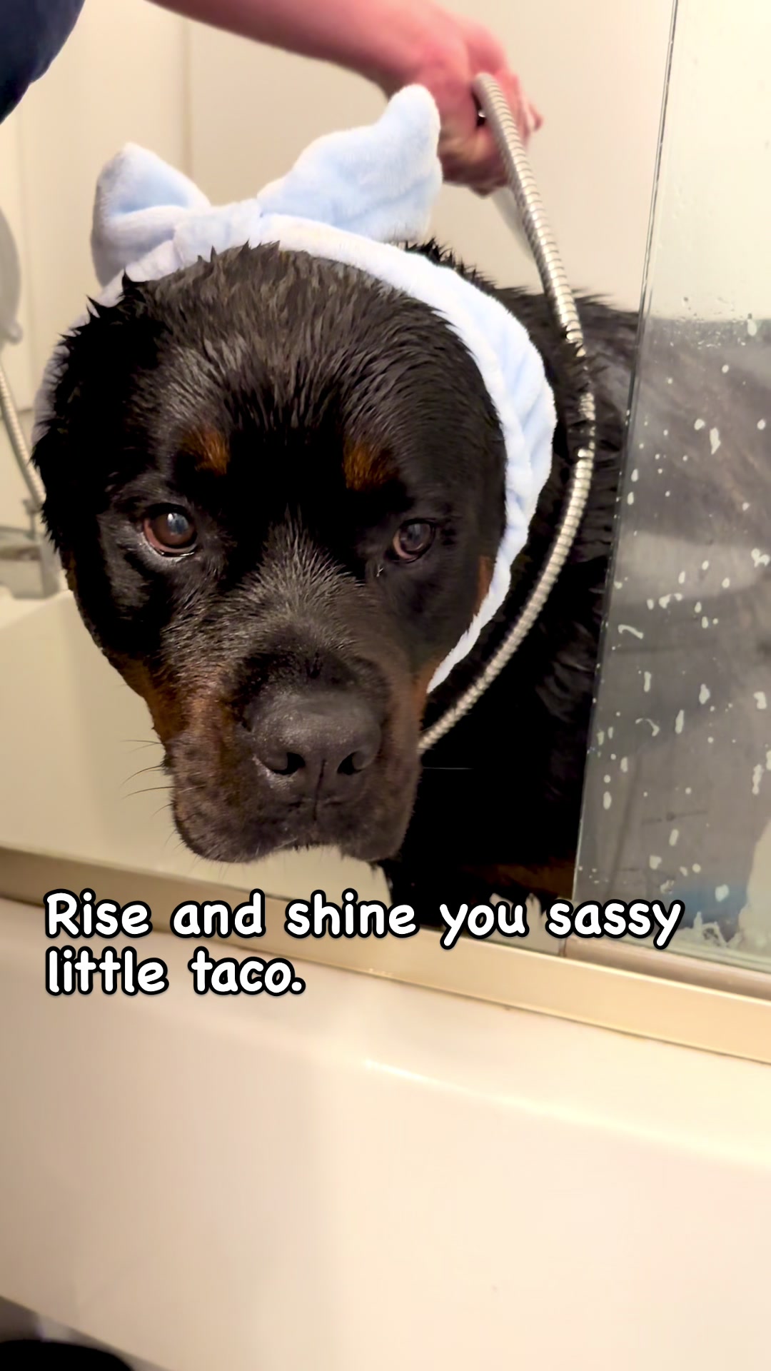 @RottweilerRuger