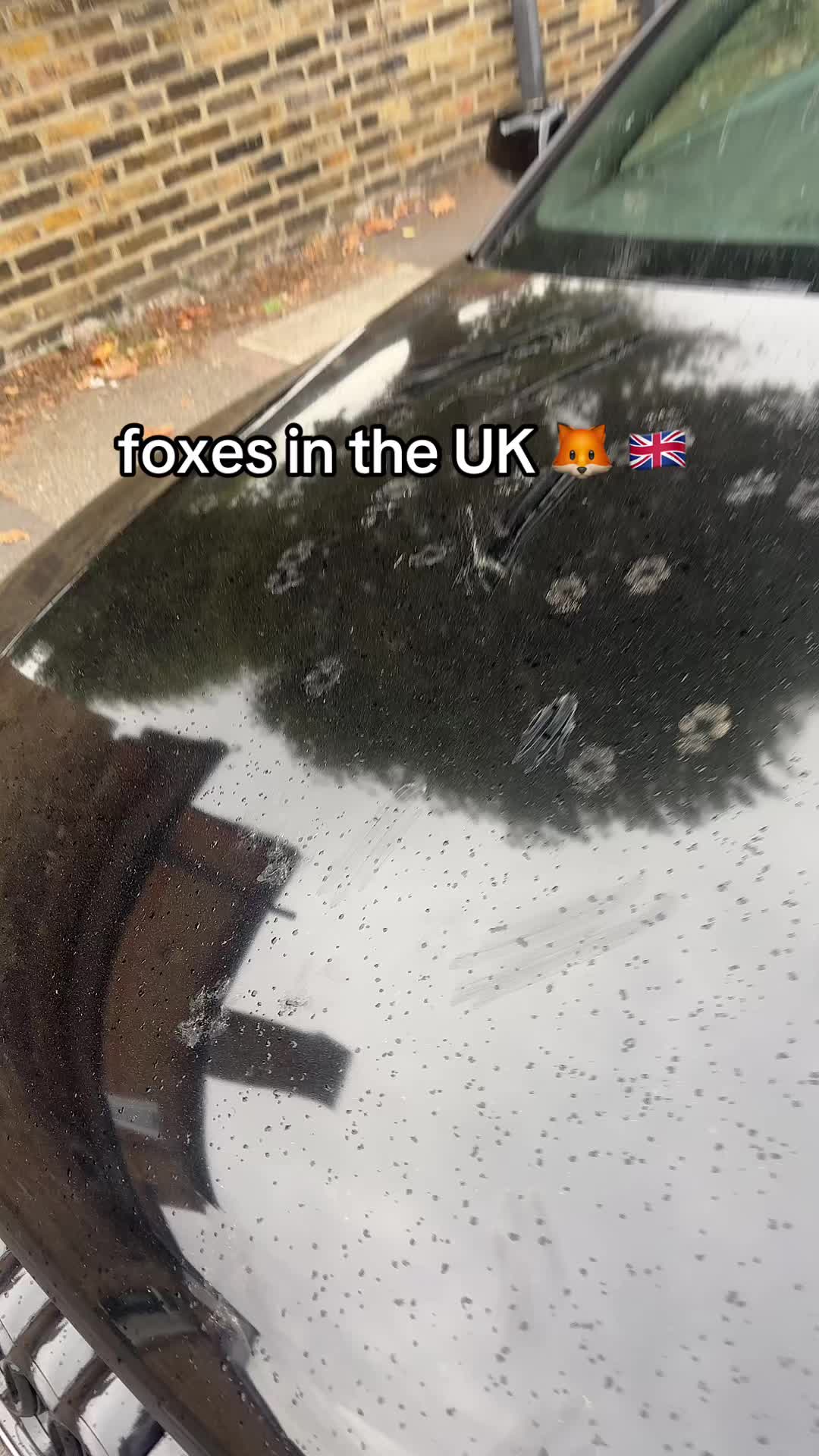 @Soufz