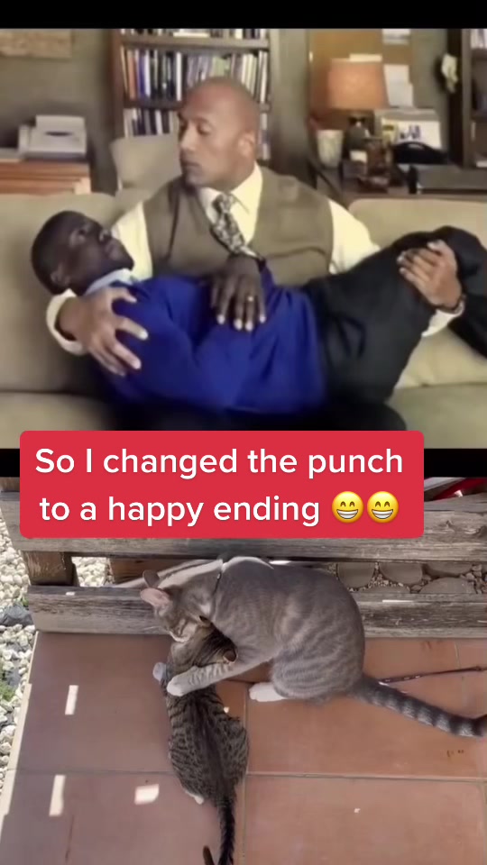 @Joeythecutestcat
