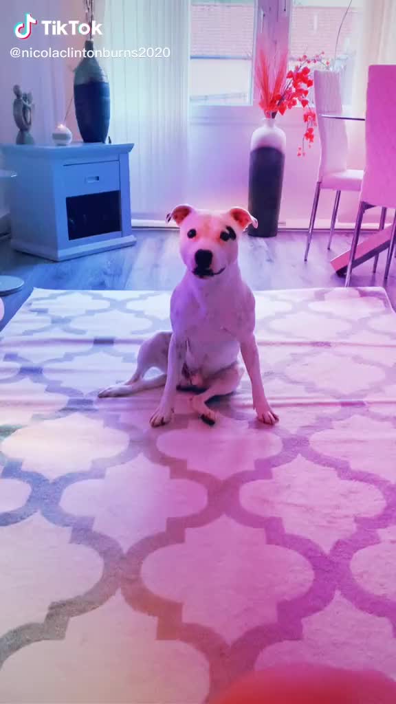 @NicolaCBurns🐩🏴🚙