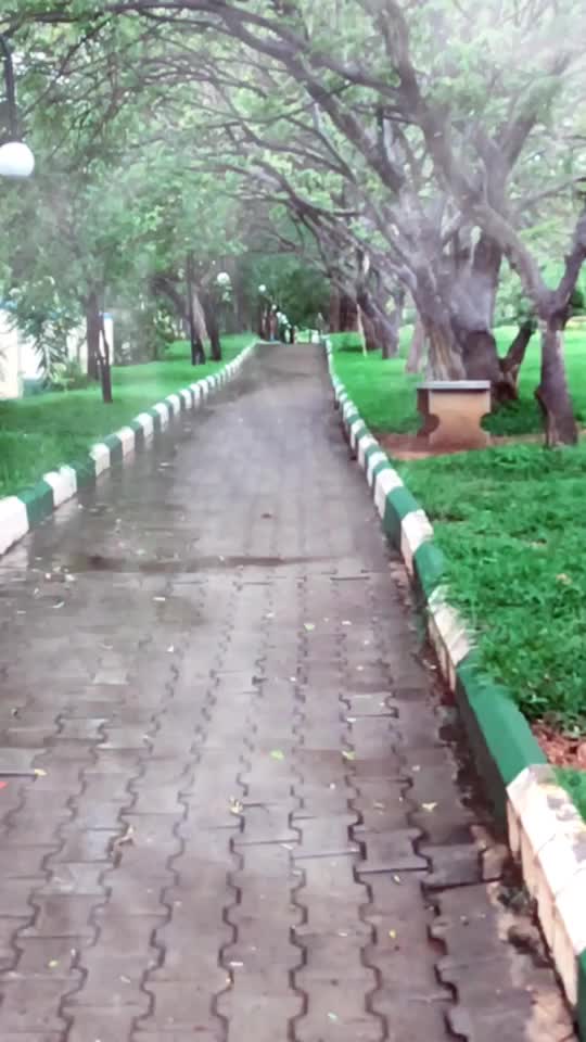 @VeNu Eagle