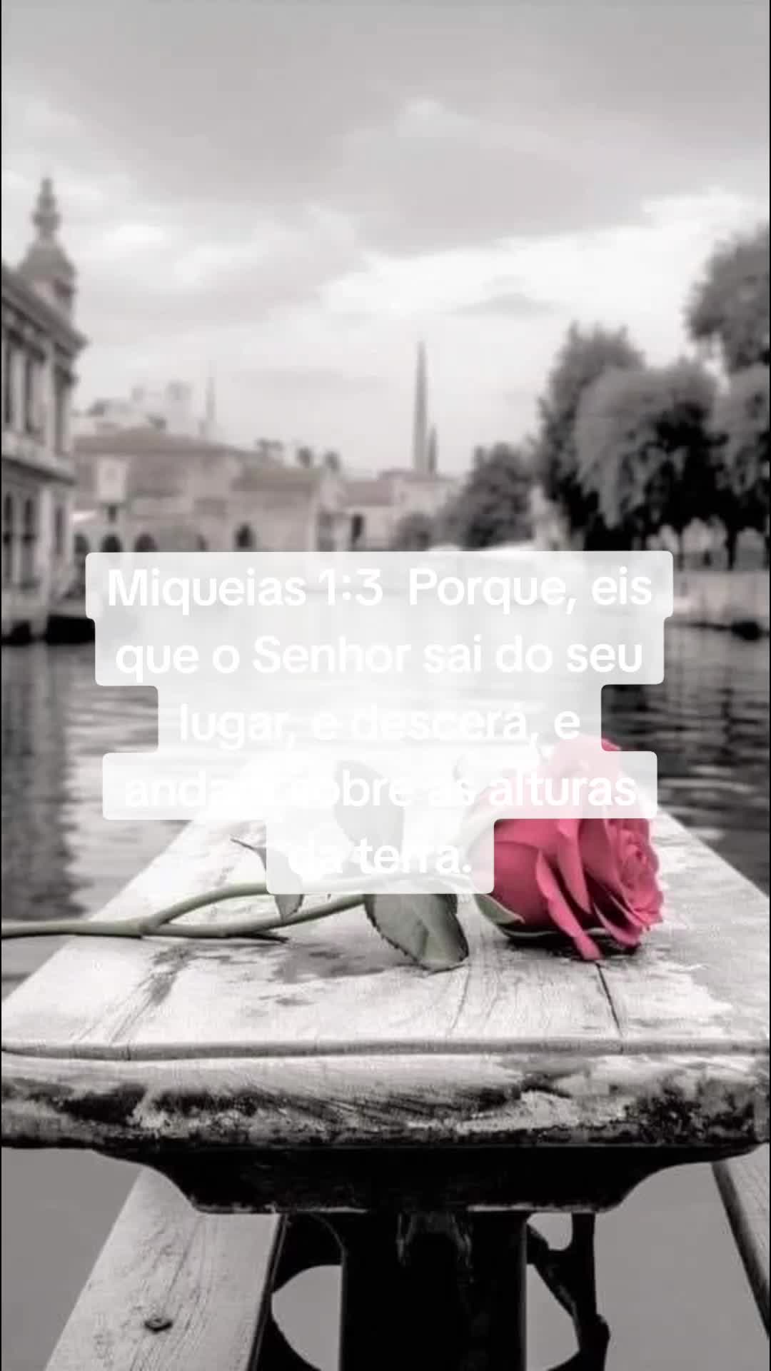 @👑@Justiça 💎🦅🌻