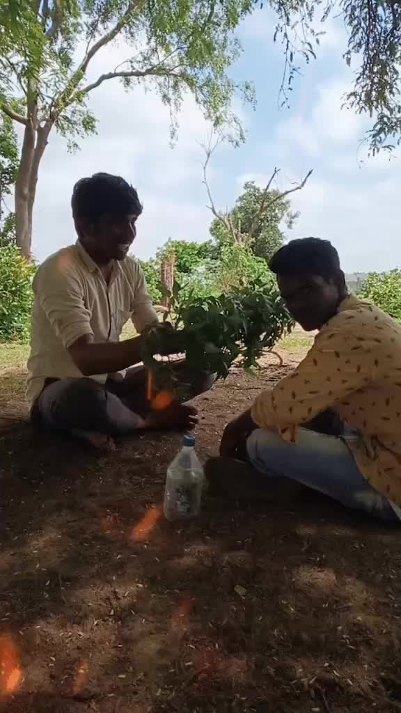 @prabujogi