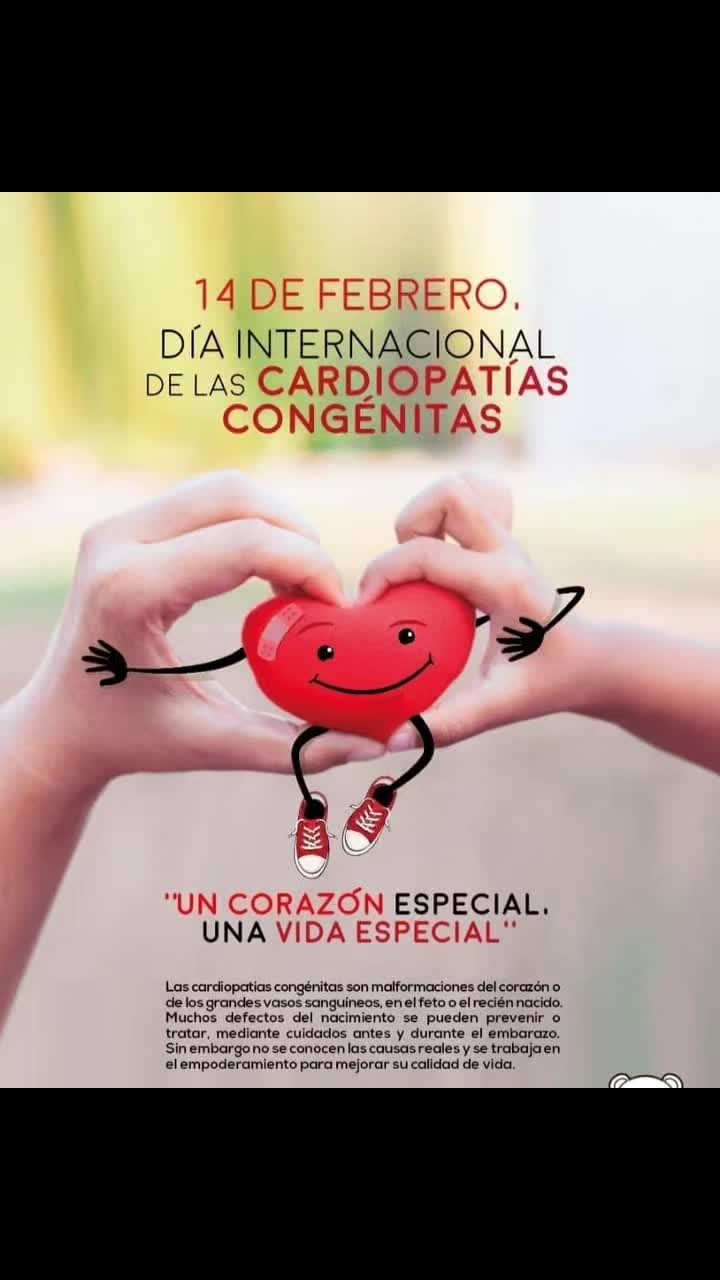 @Melissa Alfaro