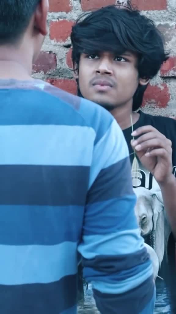 @Vishal prabu 🐾