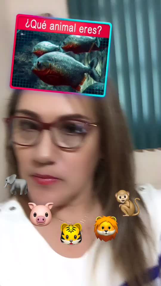@hamplmelita