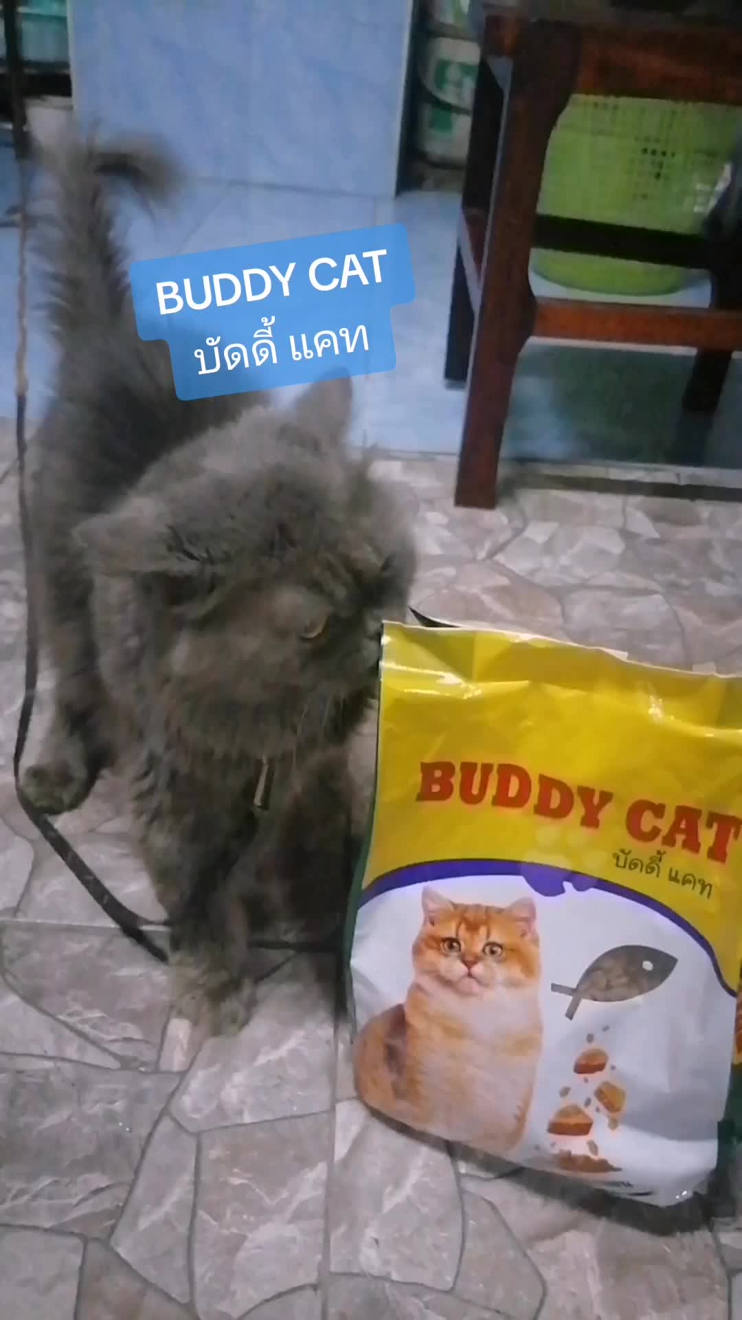 @คิดน้อย