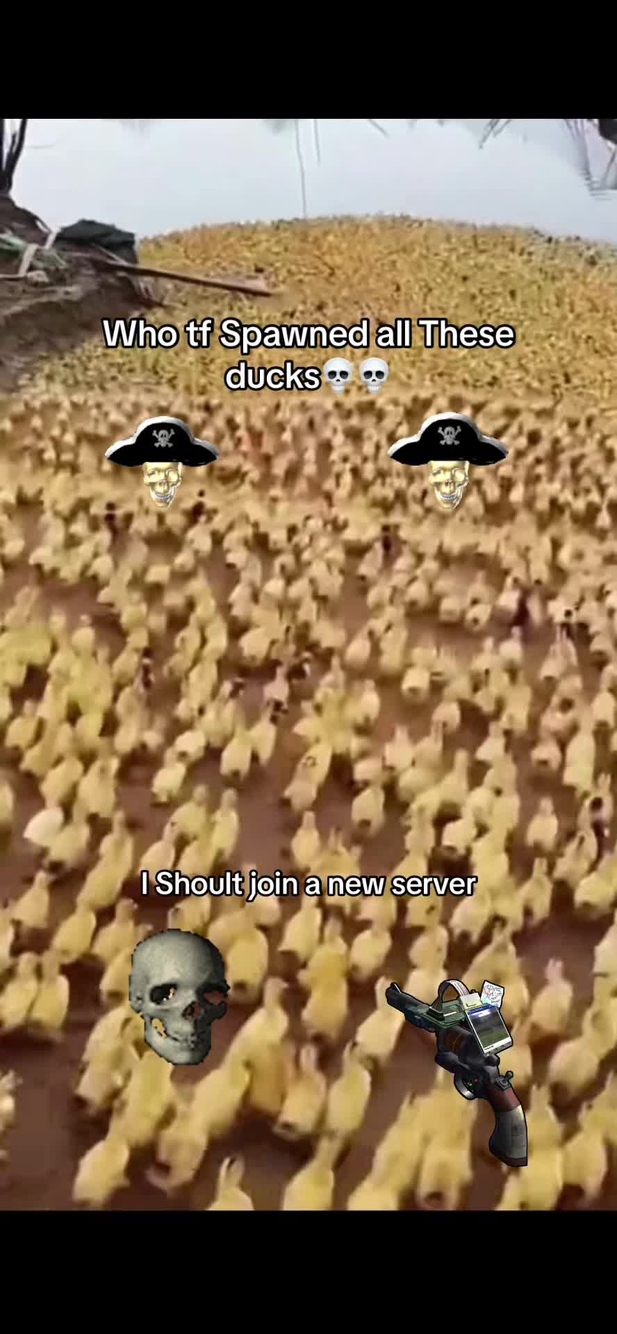 @NoCode_12