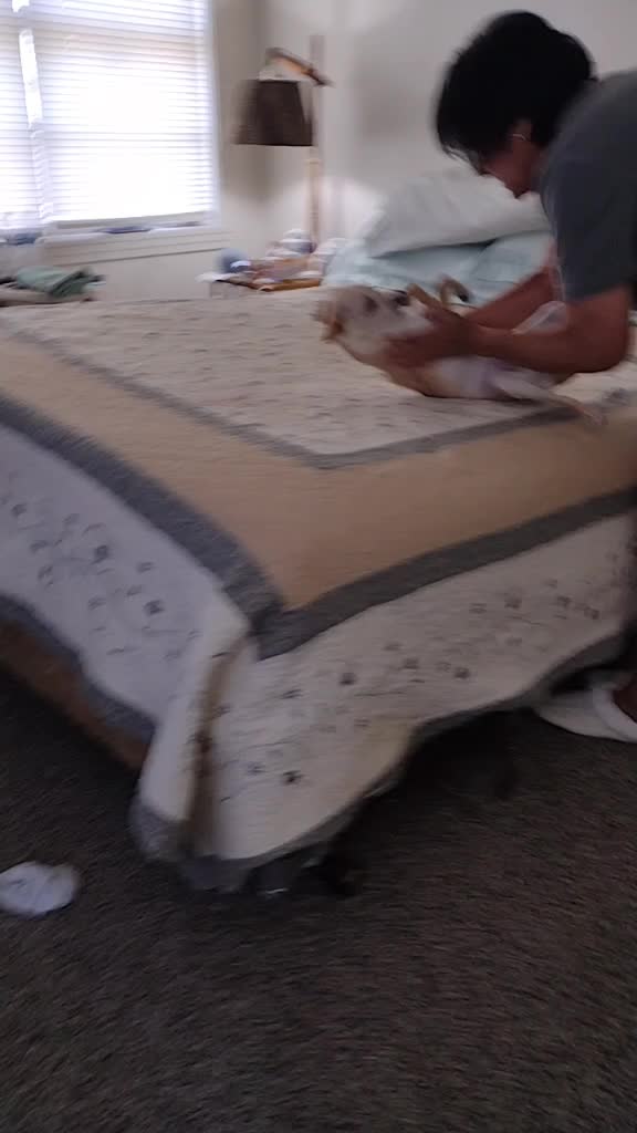 @TheNoBeerBachelor