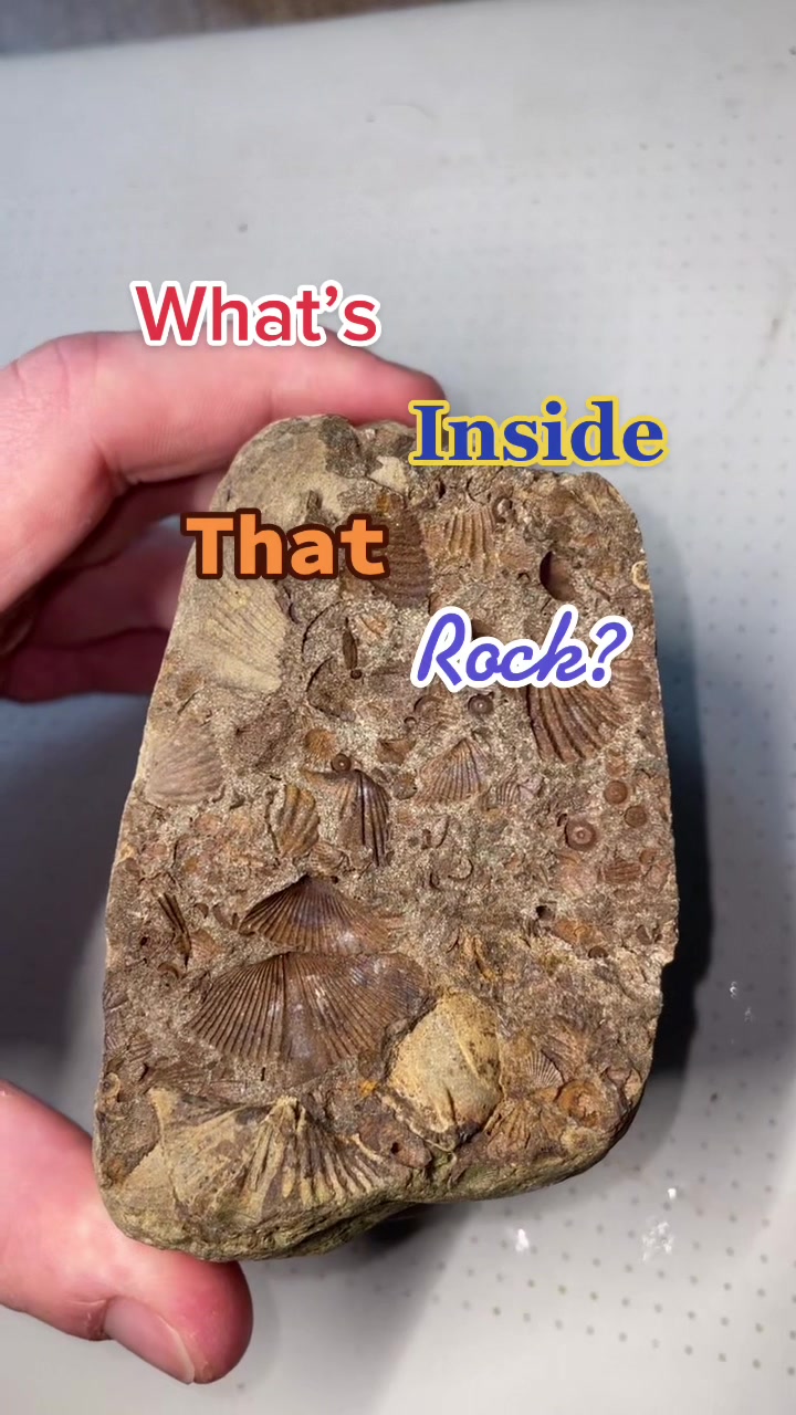 @Rock Man Ethan
