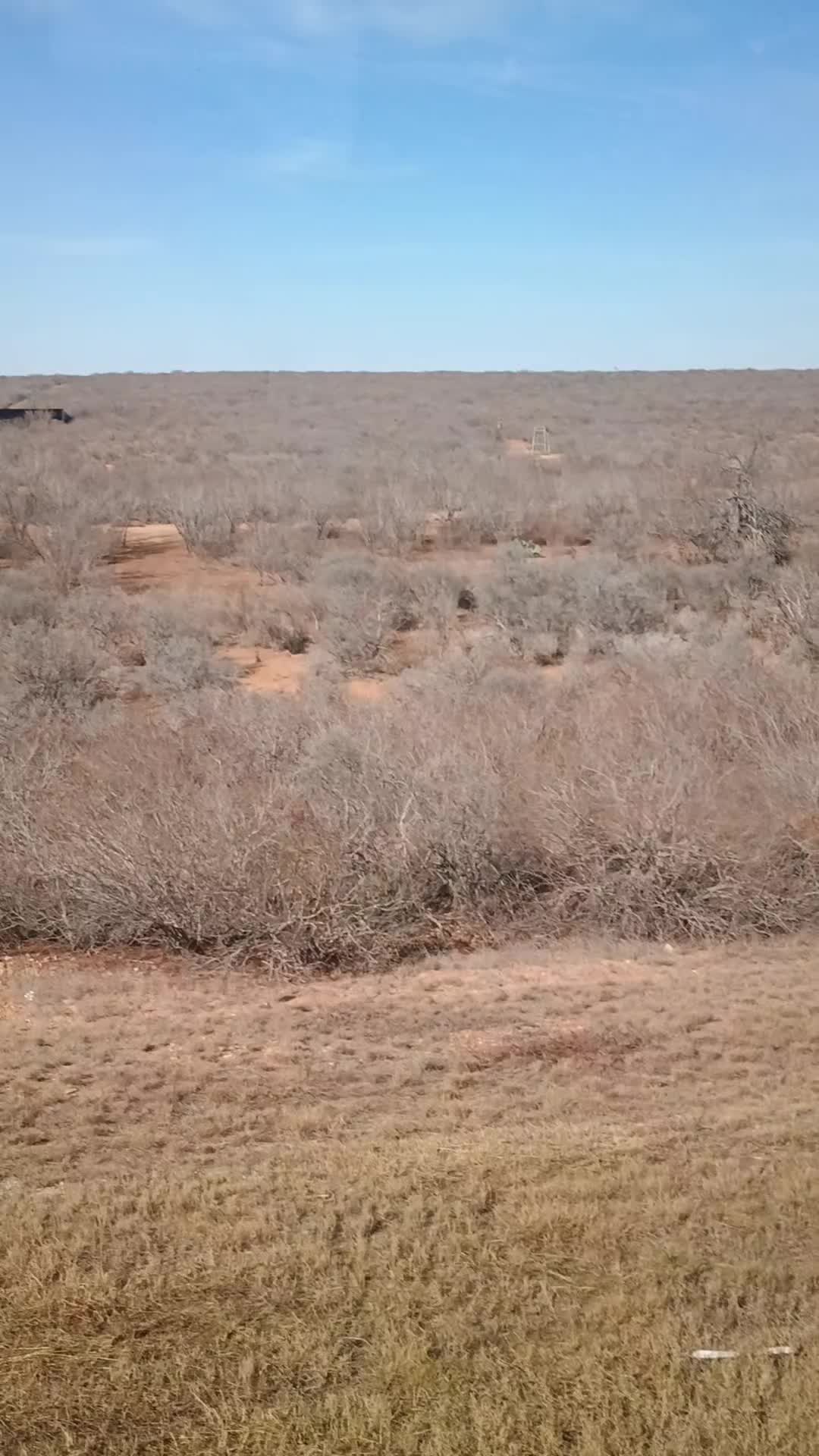 @El Gueroo🤠🤙🇺🇸🇲🇽🔥😎