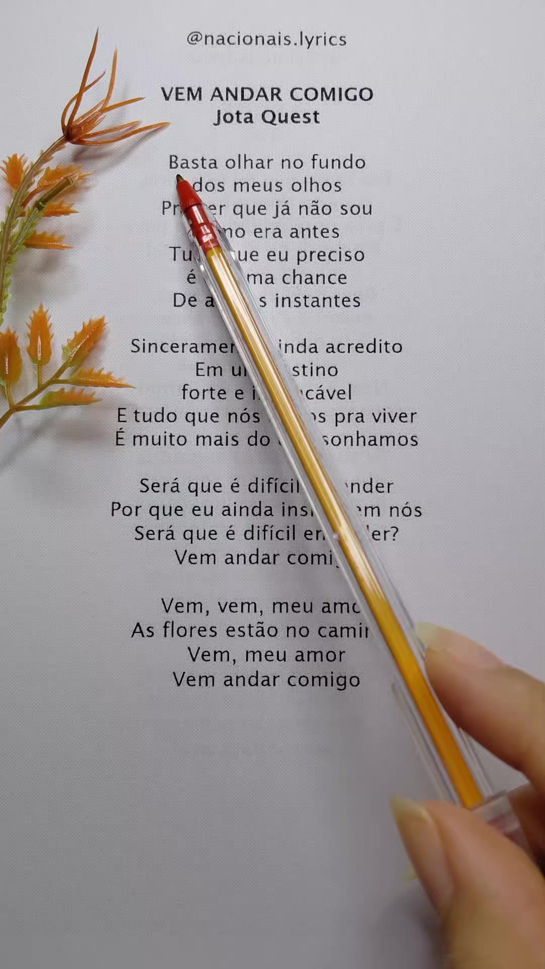 @nacionais lyrics