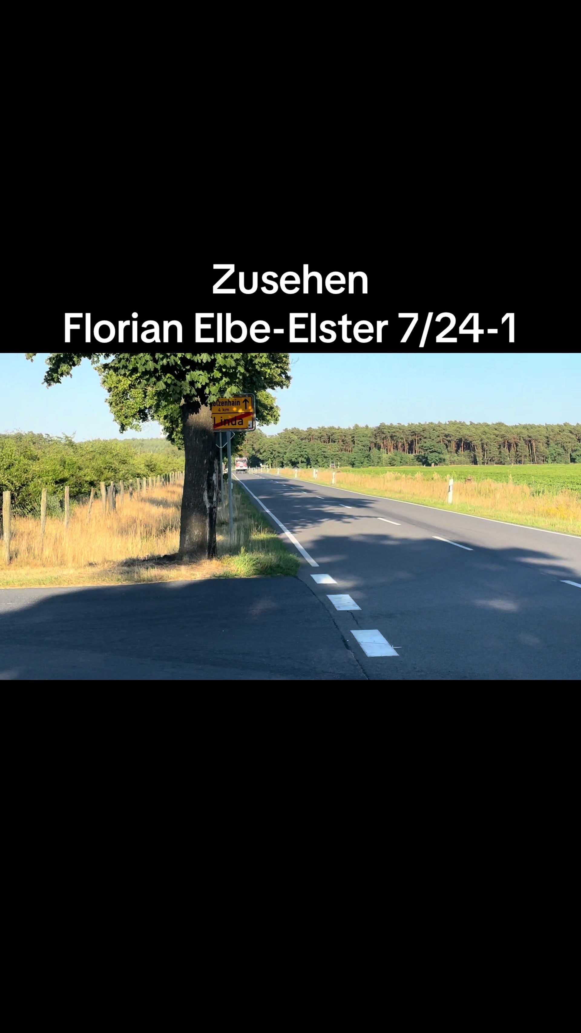 @bluelight_rlp