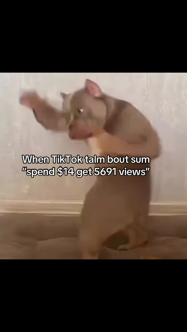 @real.real2665