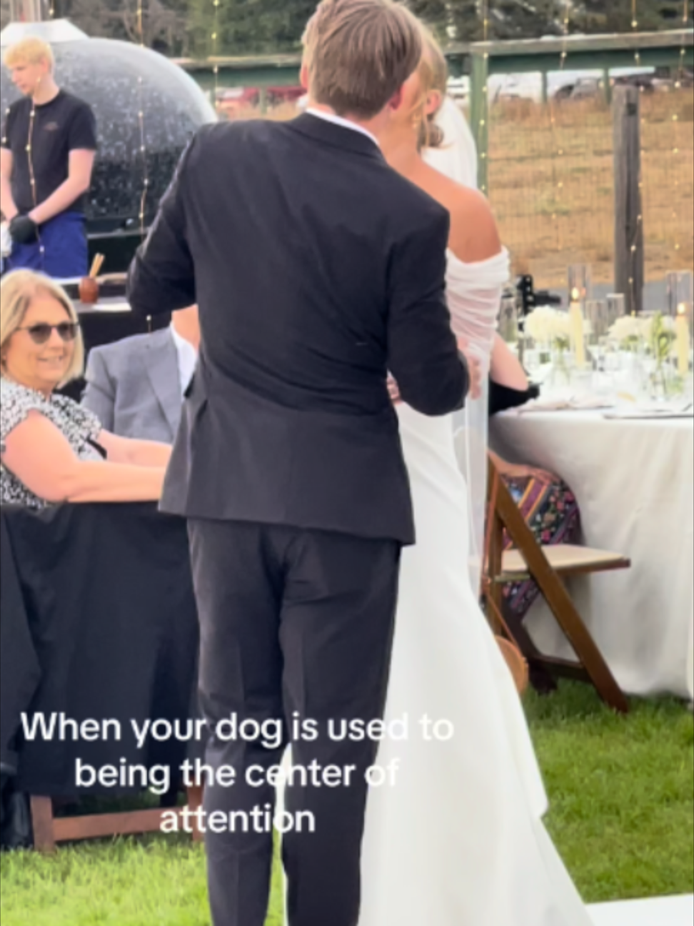 @Go Fetch