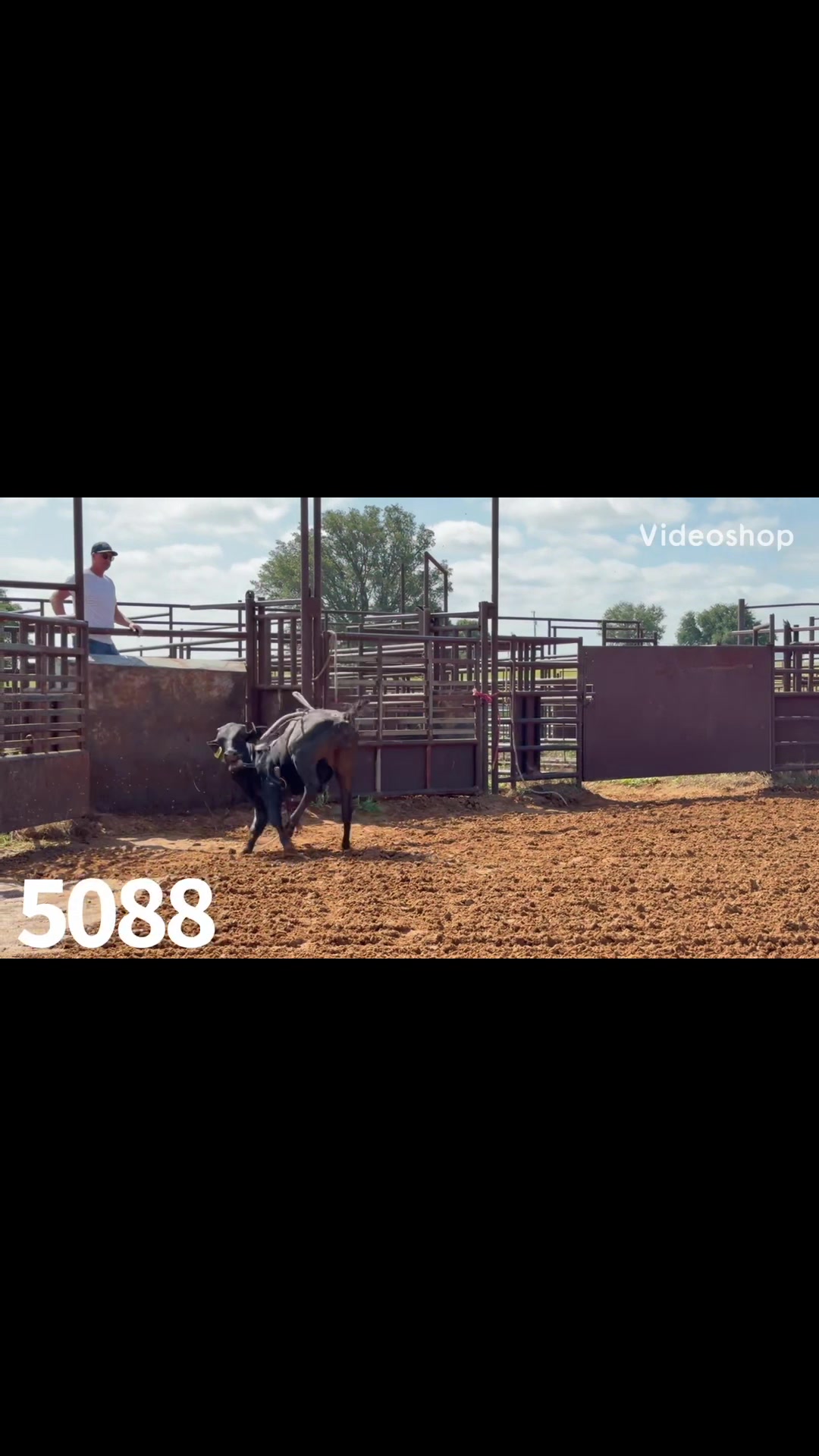 @6M Ranch & Antique Woods