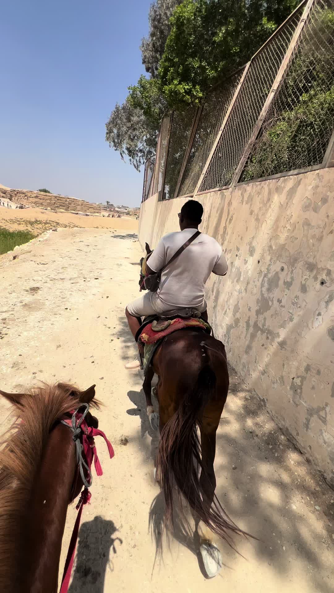 @Kingblack🤴🏿