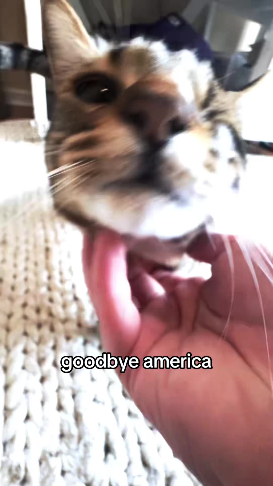 @hana