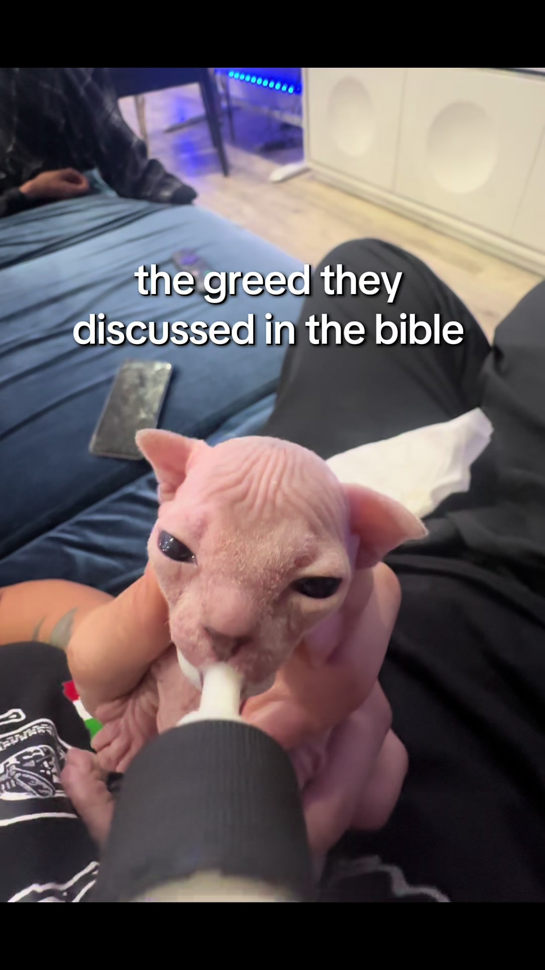 @famoussphynx