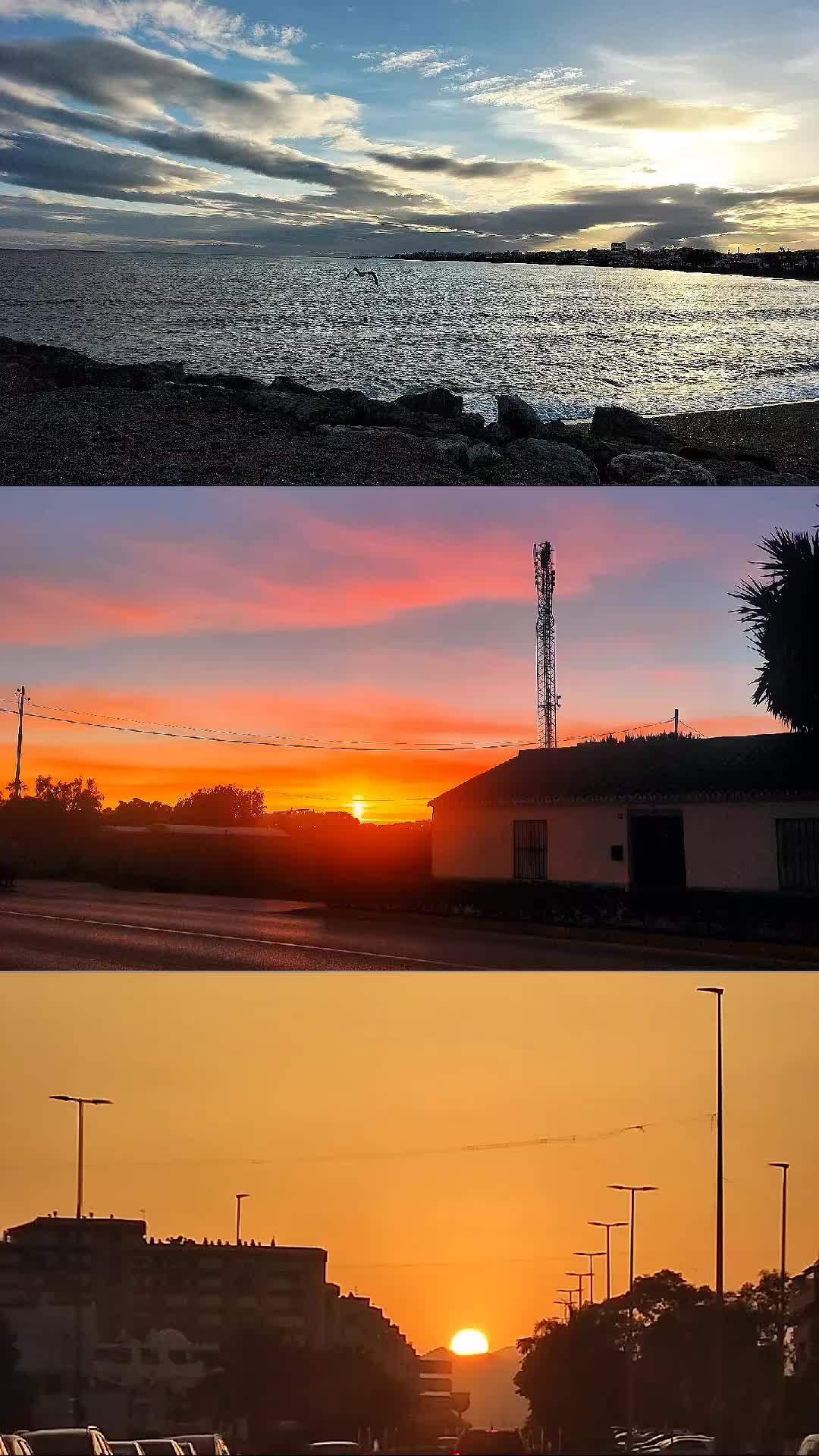 @Surcando Palabras