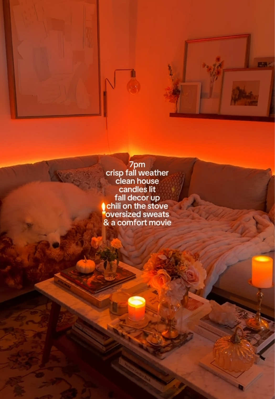 @Alex | Home & Lifestyle ✨🕯️🤍