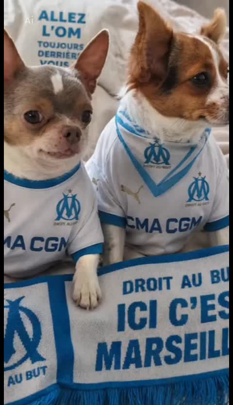 @lamarseillaiseemboucaneuse