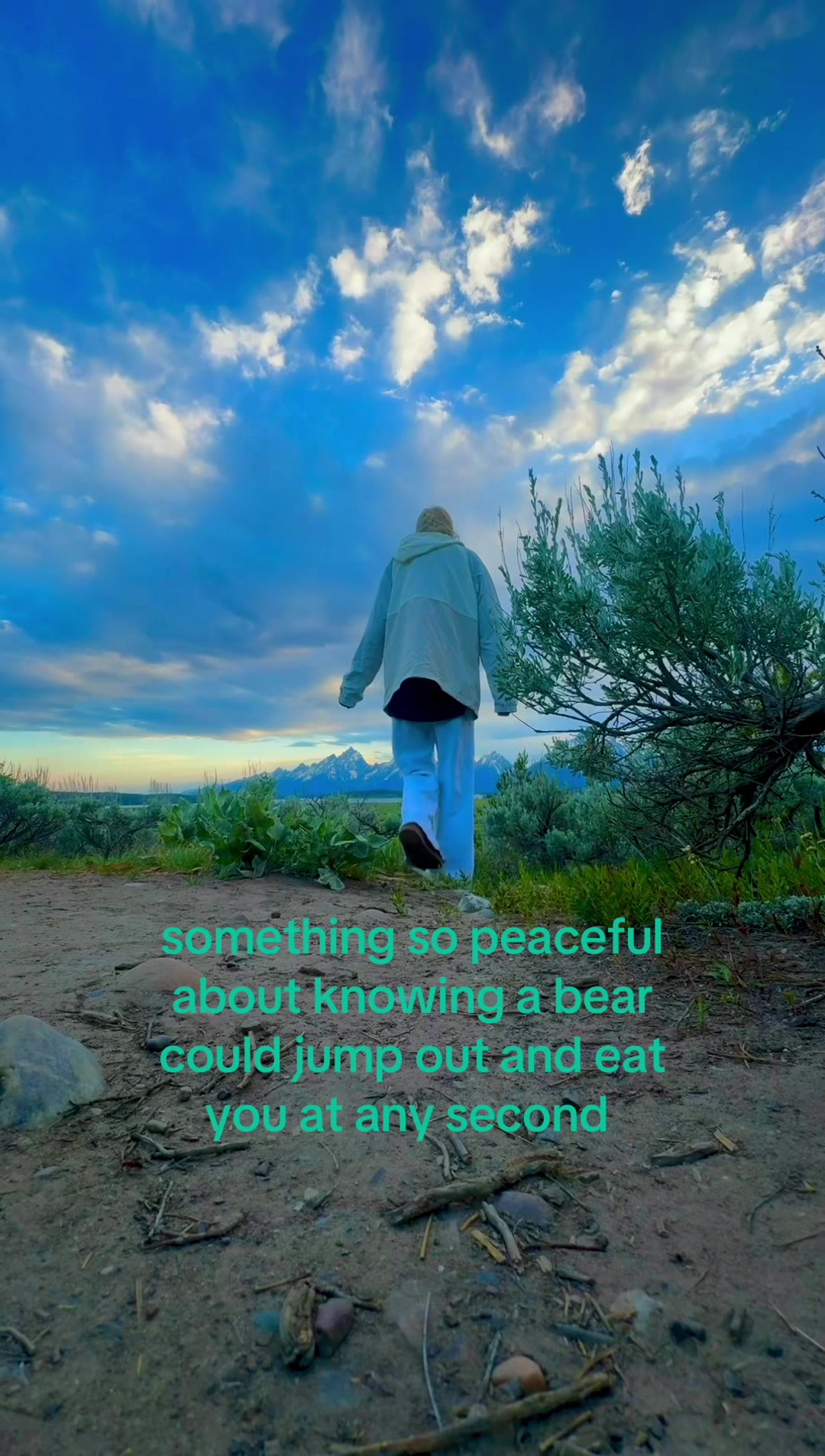 @¿¿¿¿¿