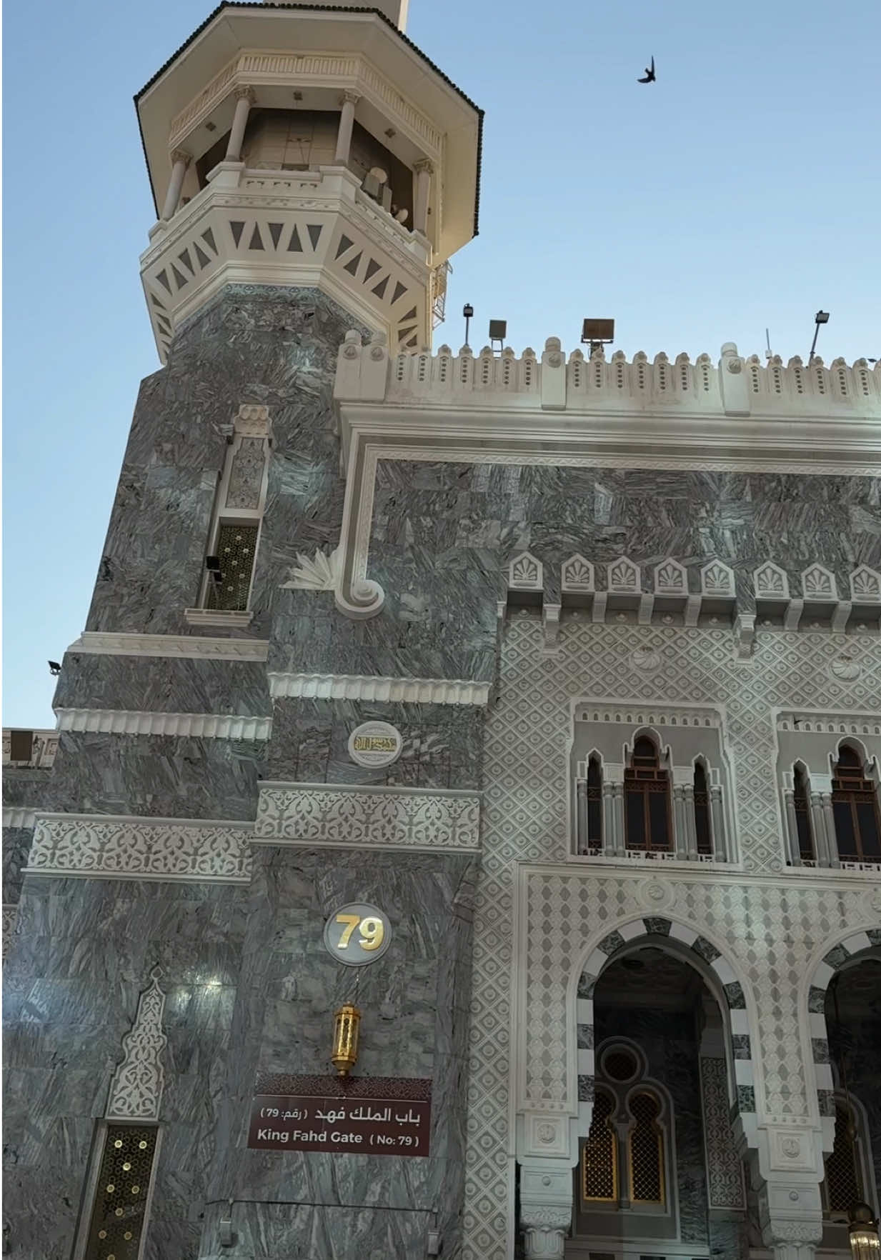 @غَـيّن