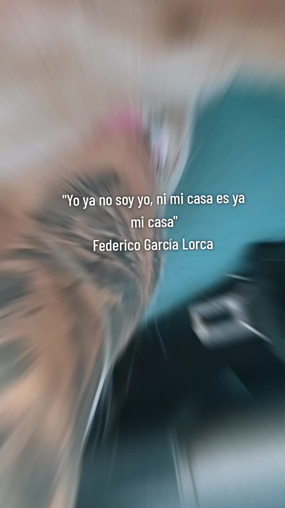 @AiinoaLaBabbii