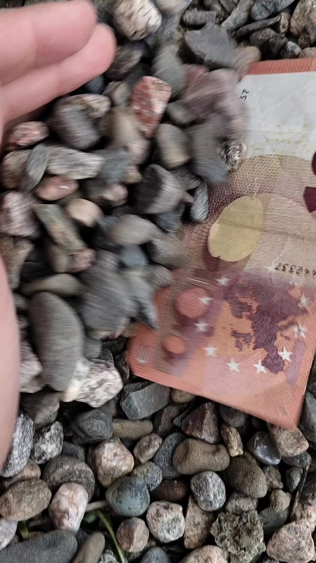 @Cash_Hide_Kokkola