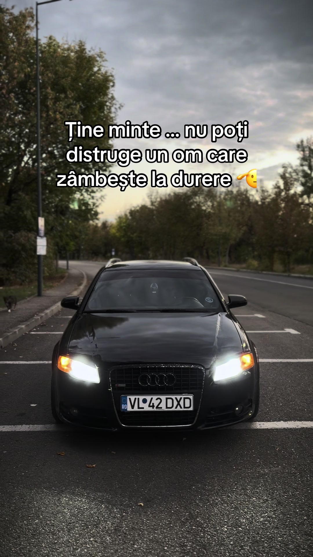 @🅳🅰🆅🅸🅳 🏎️&reg;