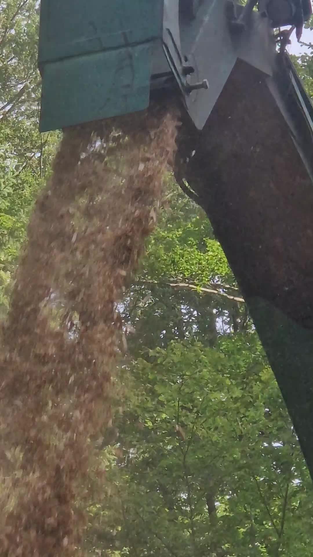 @Hollywood_Farm