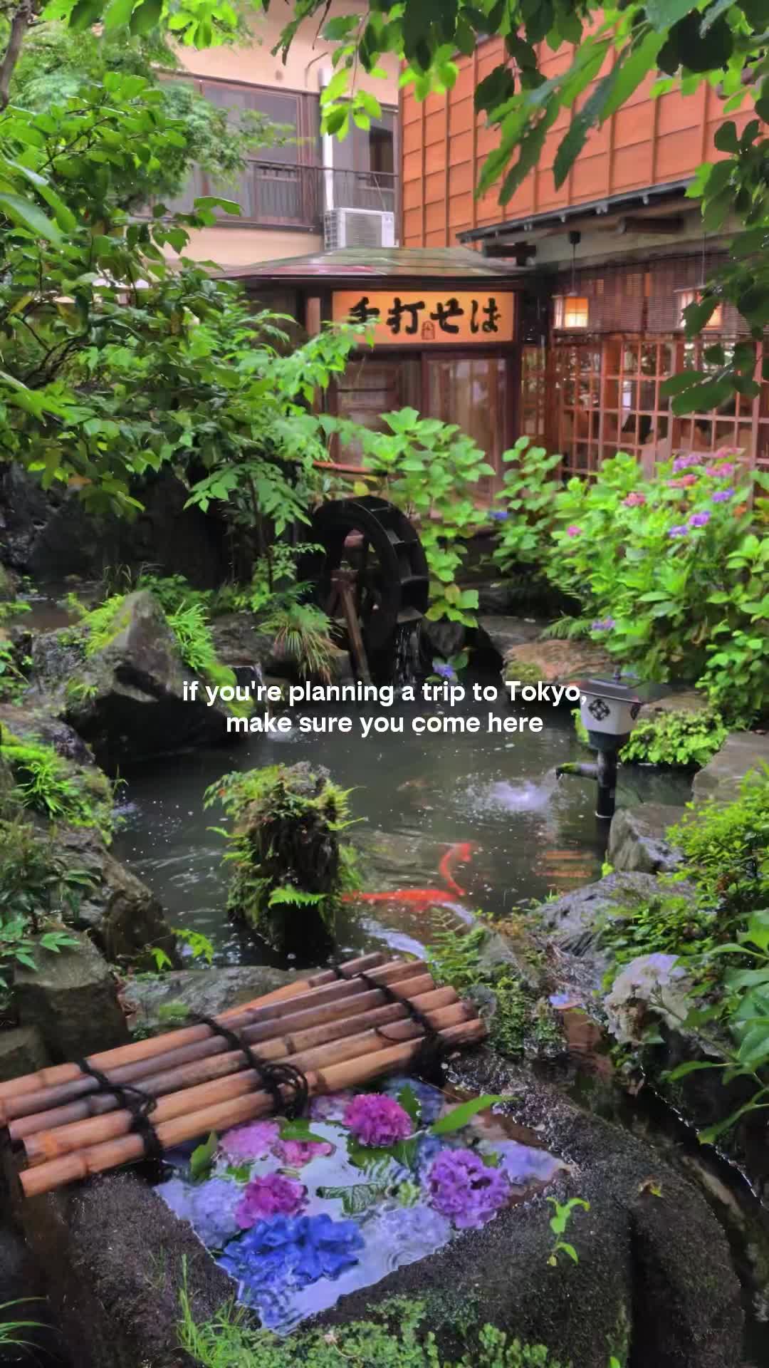 @Alicia ✨ Travel Blogger