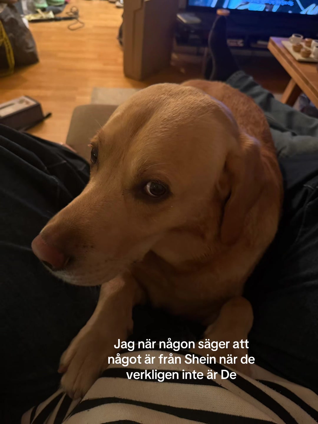 @tildespamm