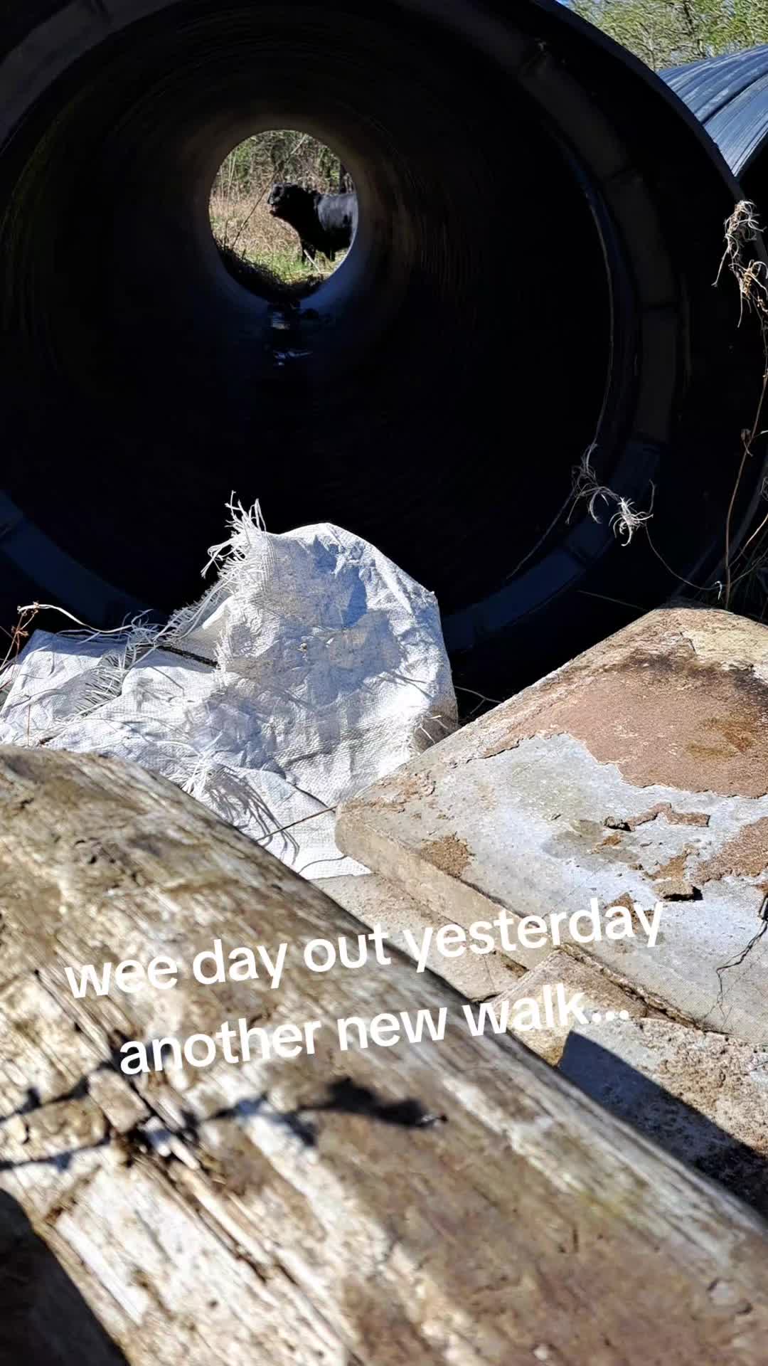 @Alan