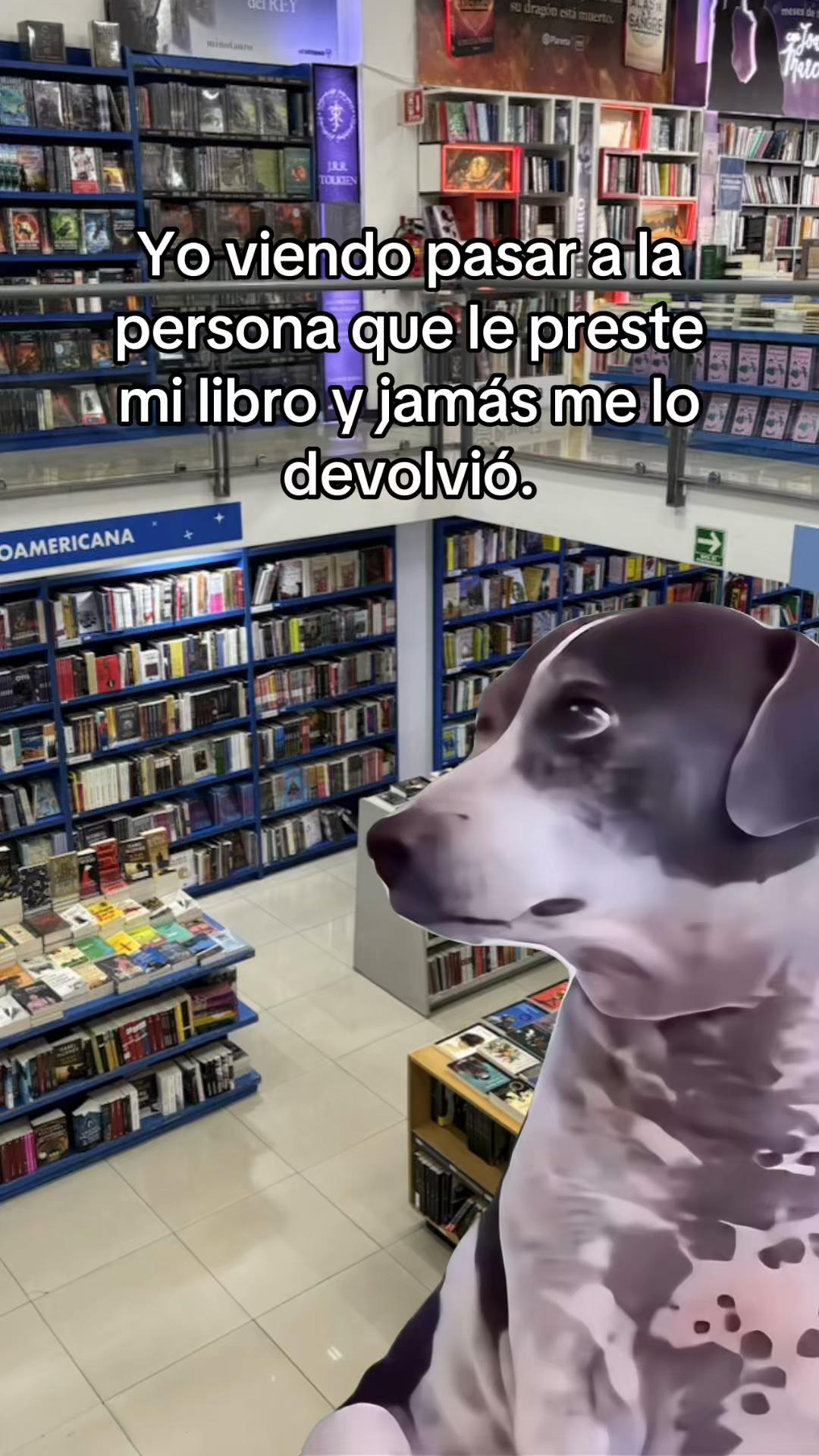 @faustgoethe279