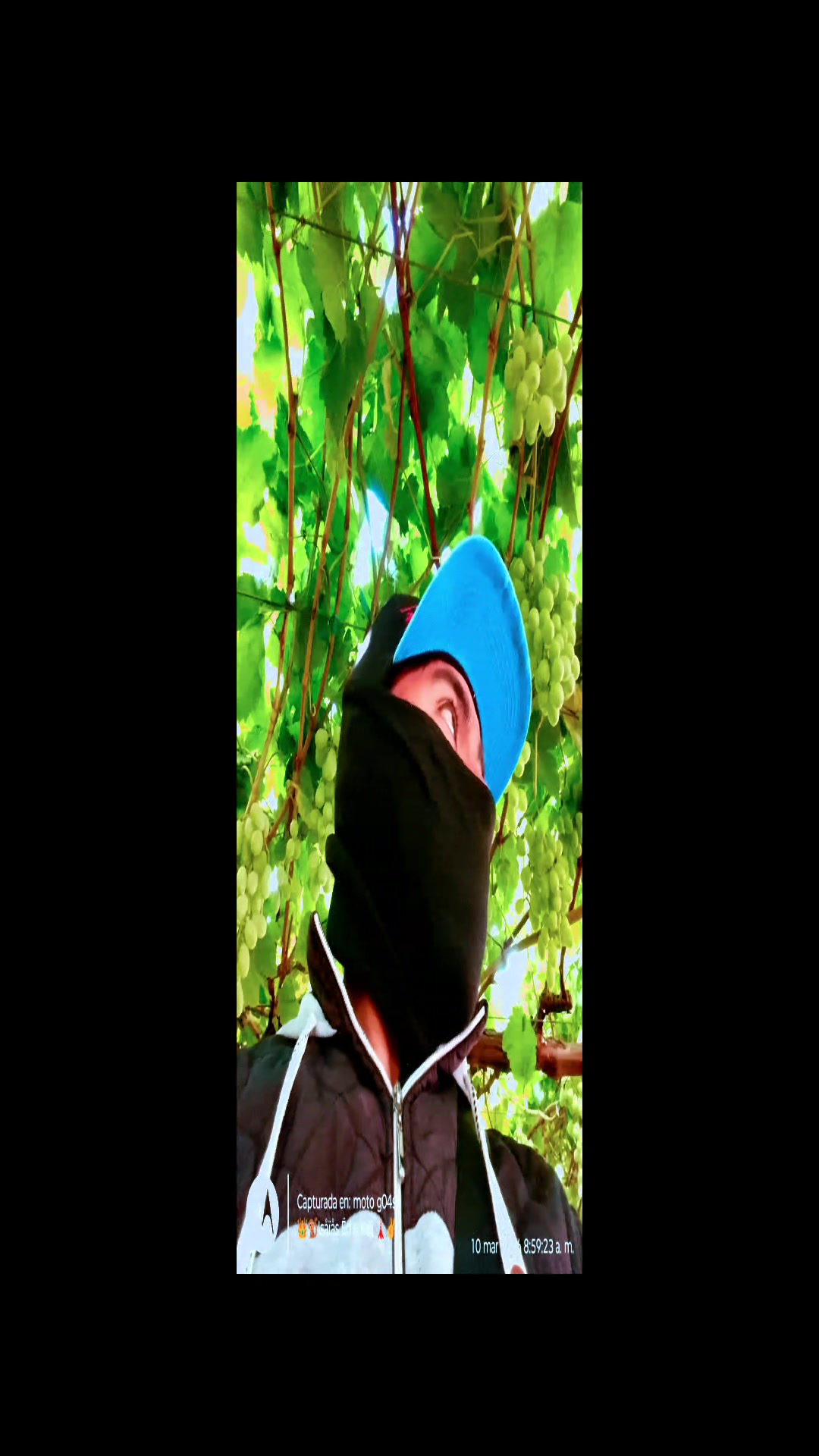 @๐ฉต๐โฏ๐ด๐๐๐๐๐ Ëd Süsëj โ๐
