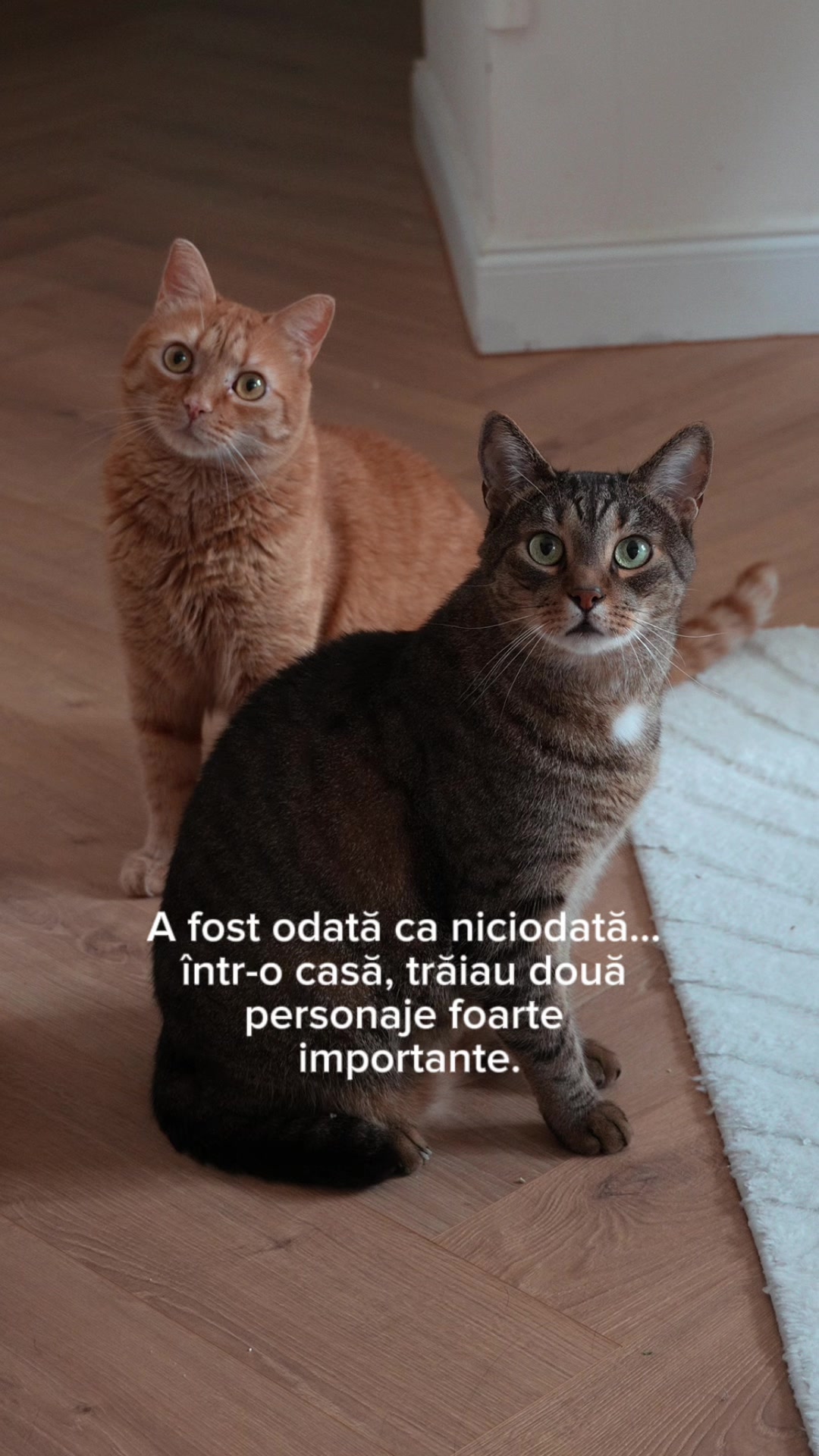 @Andra Teodoru