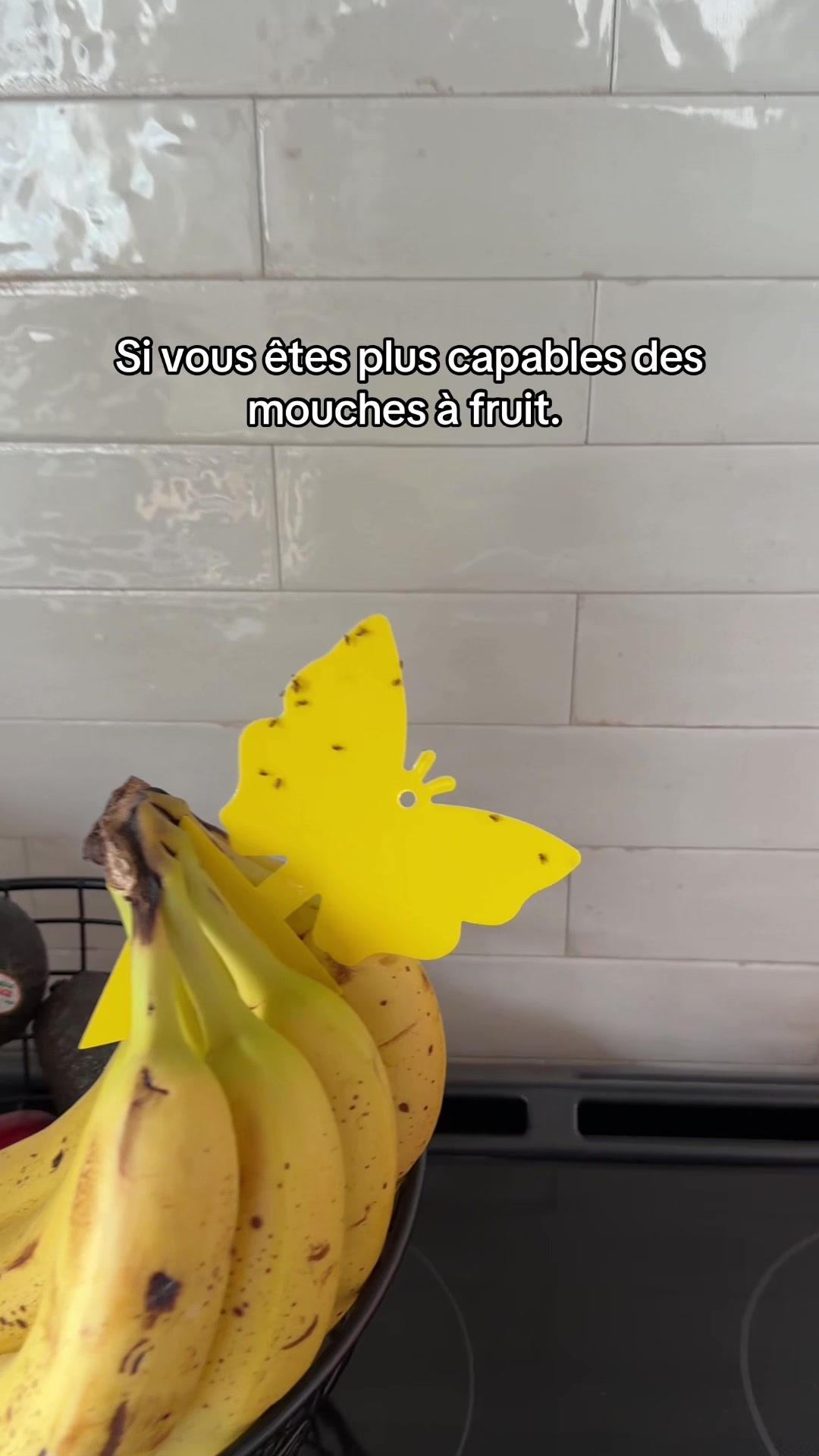 @aureledion
