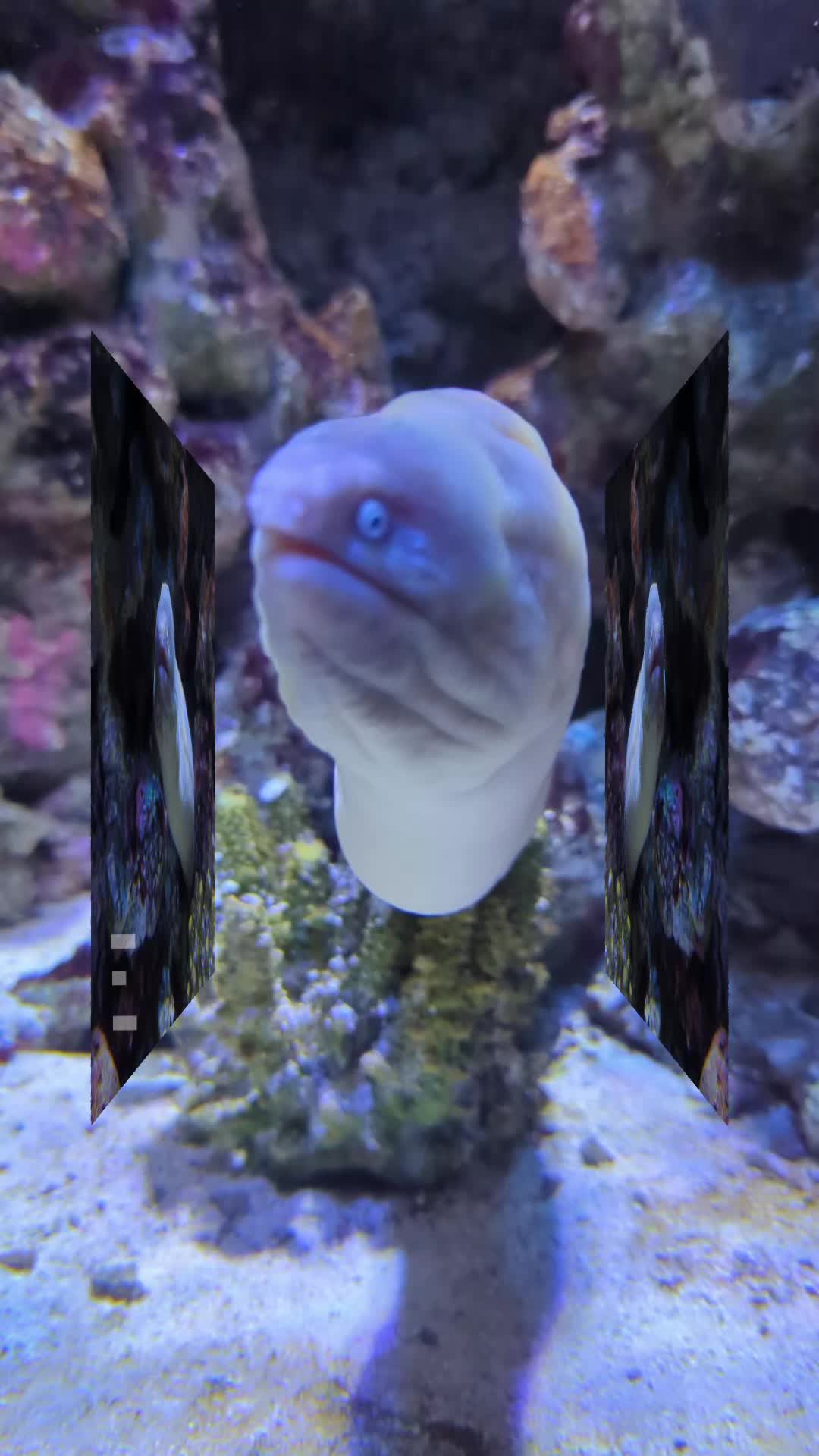 @BristolAquarium