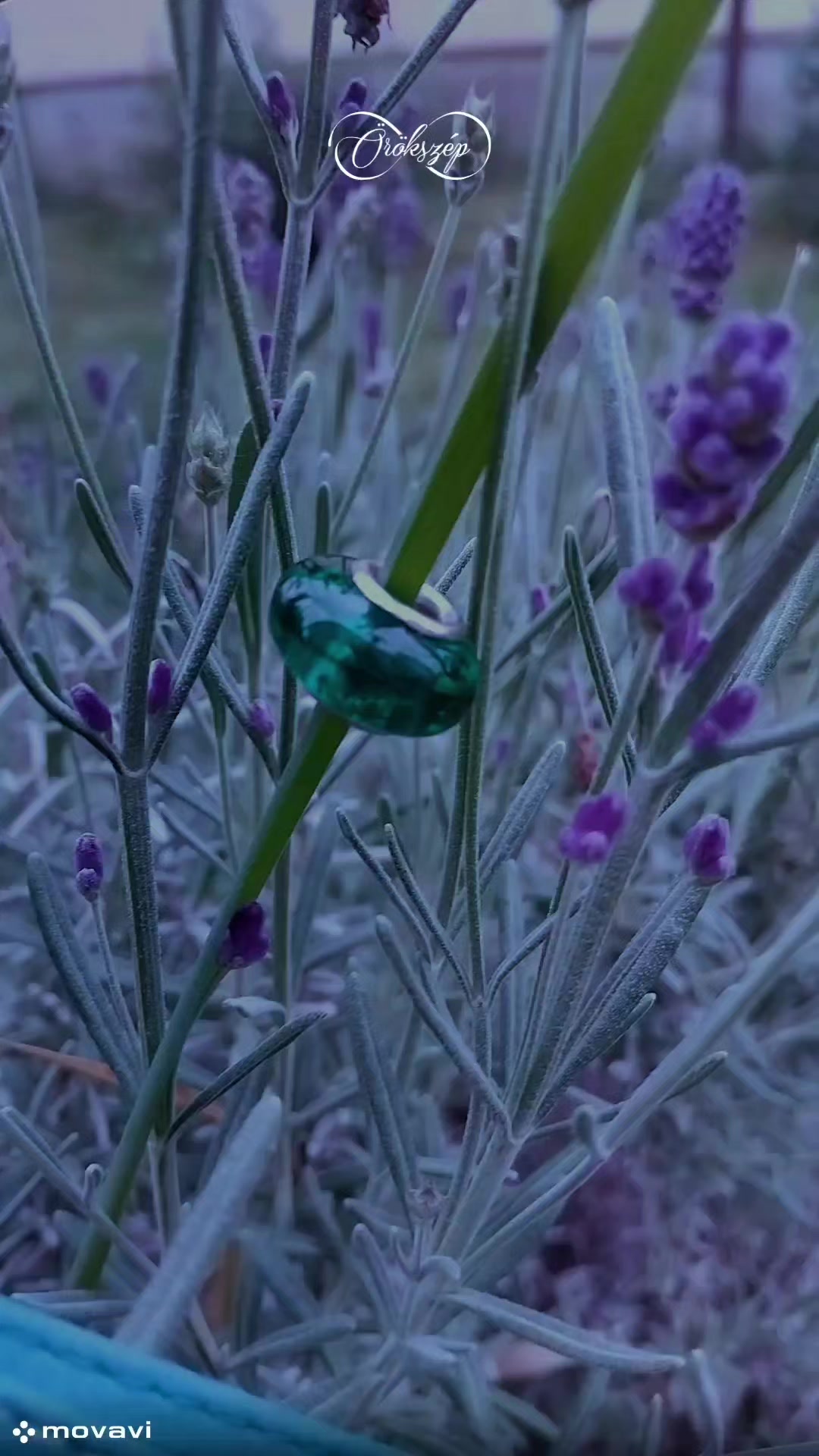 @Orokszep
