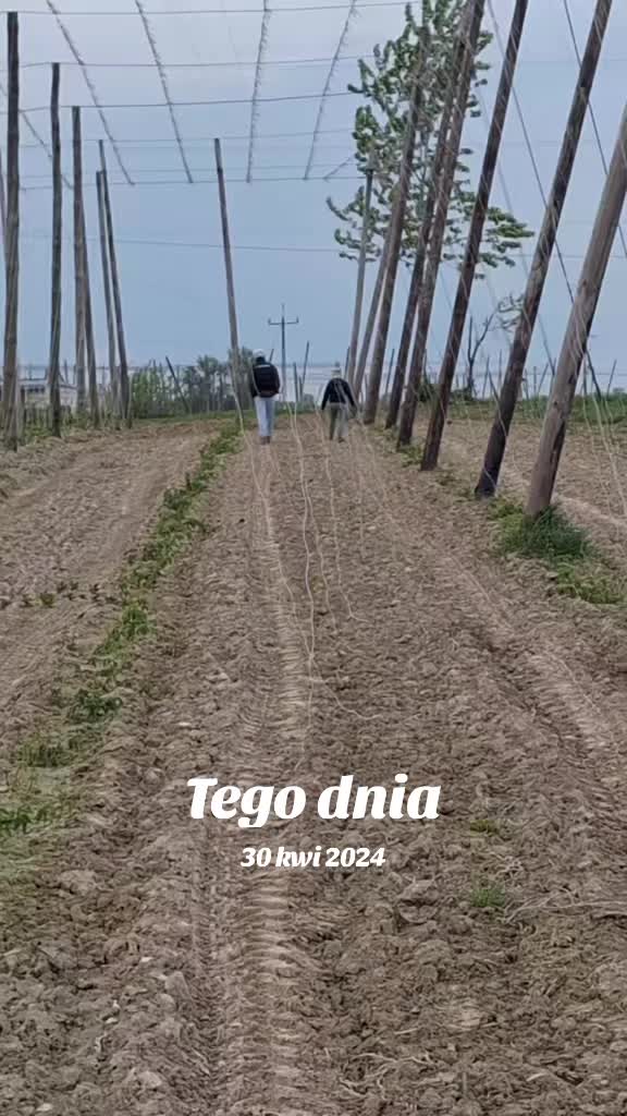 @mamanawsi-lolka