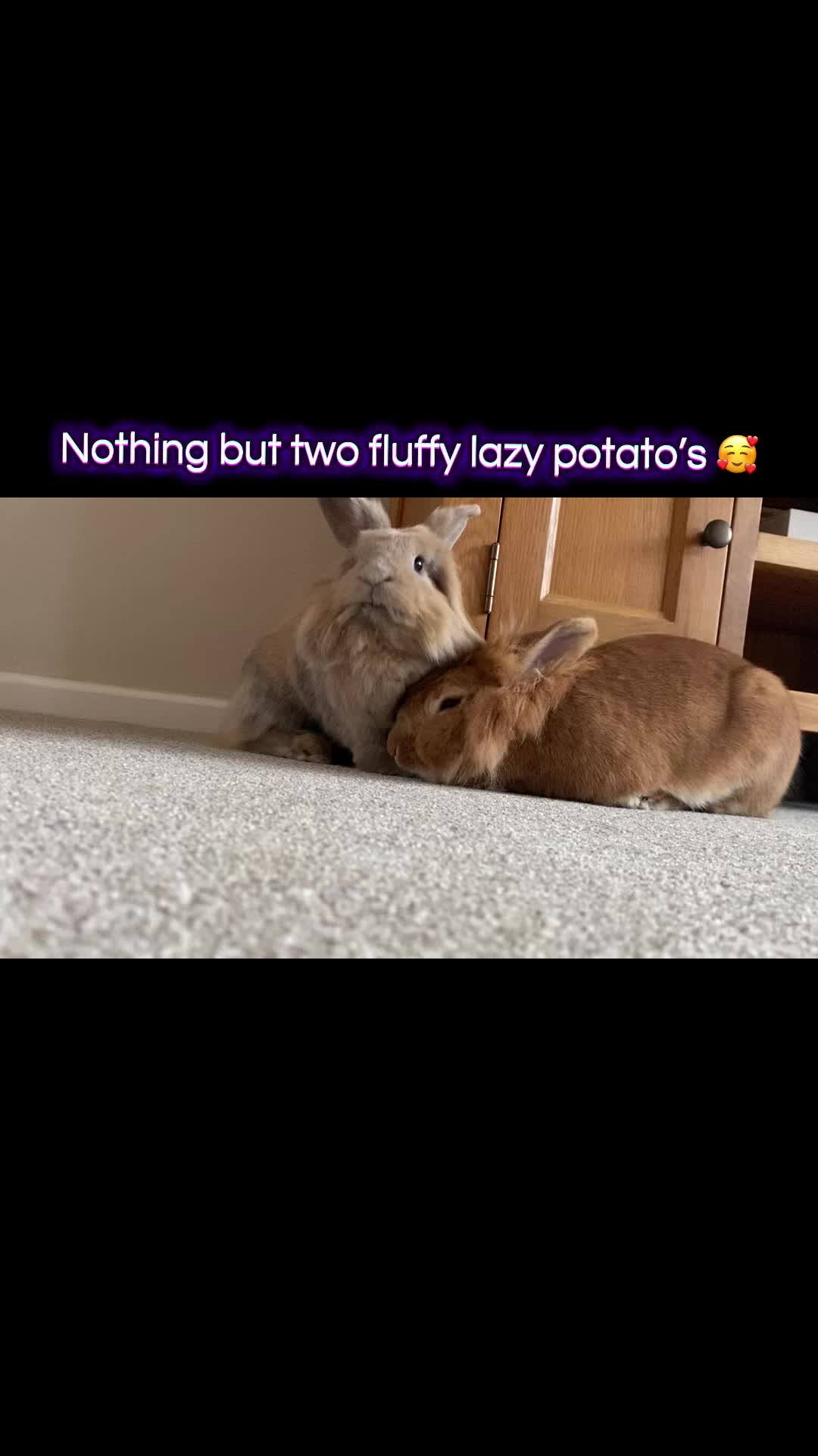 @Marmite🪽Toastie, Nala ♡