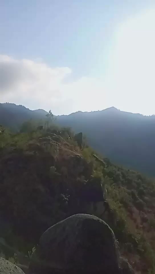 @zafarali 1243