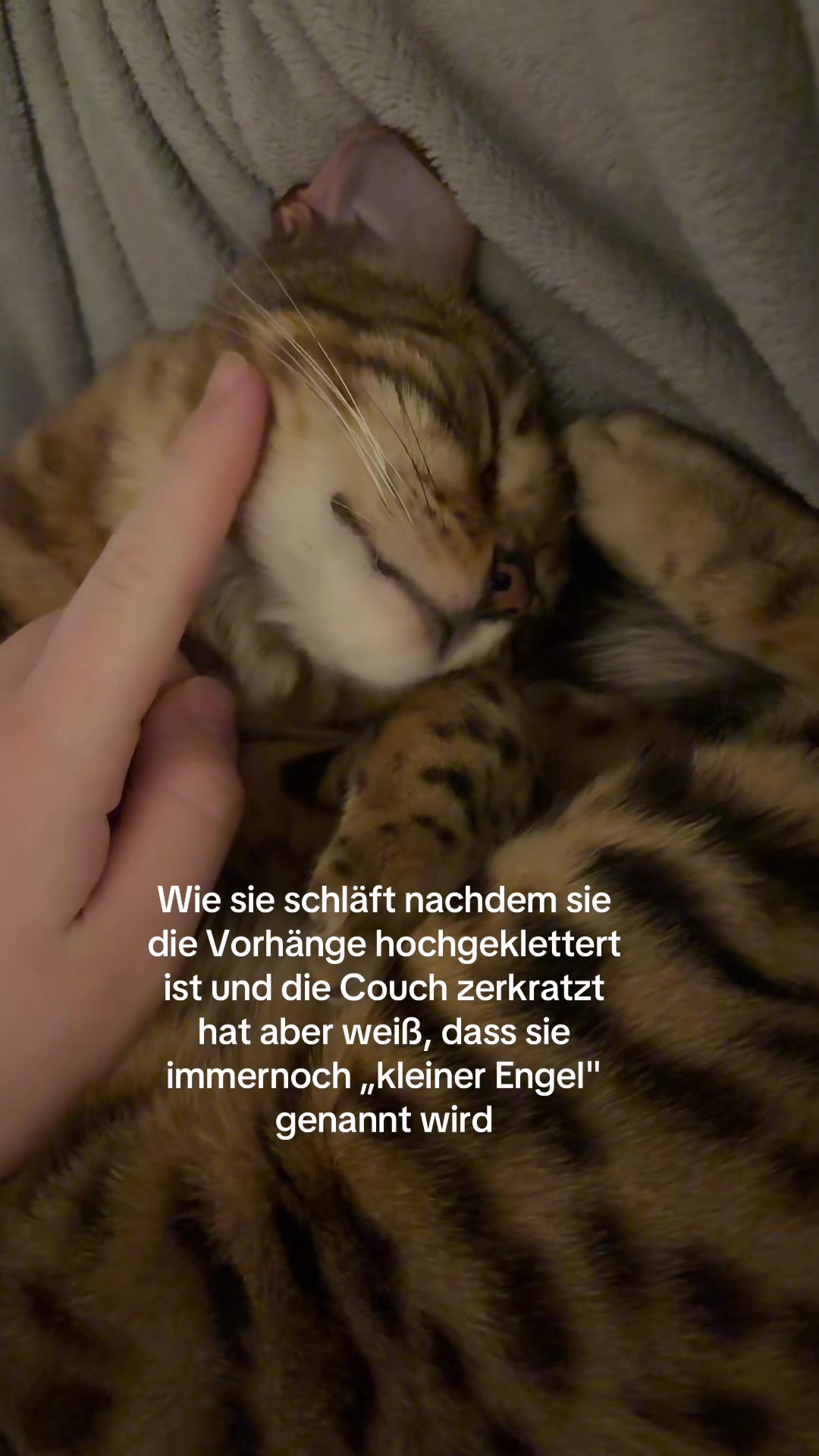 @Emily