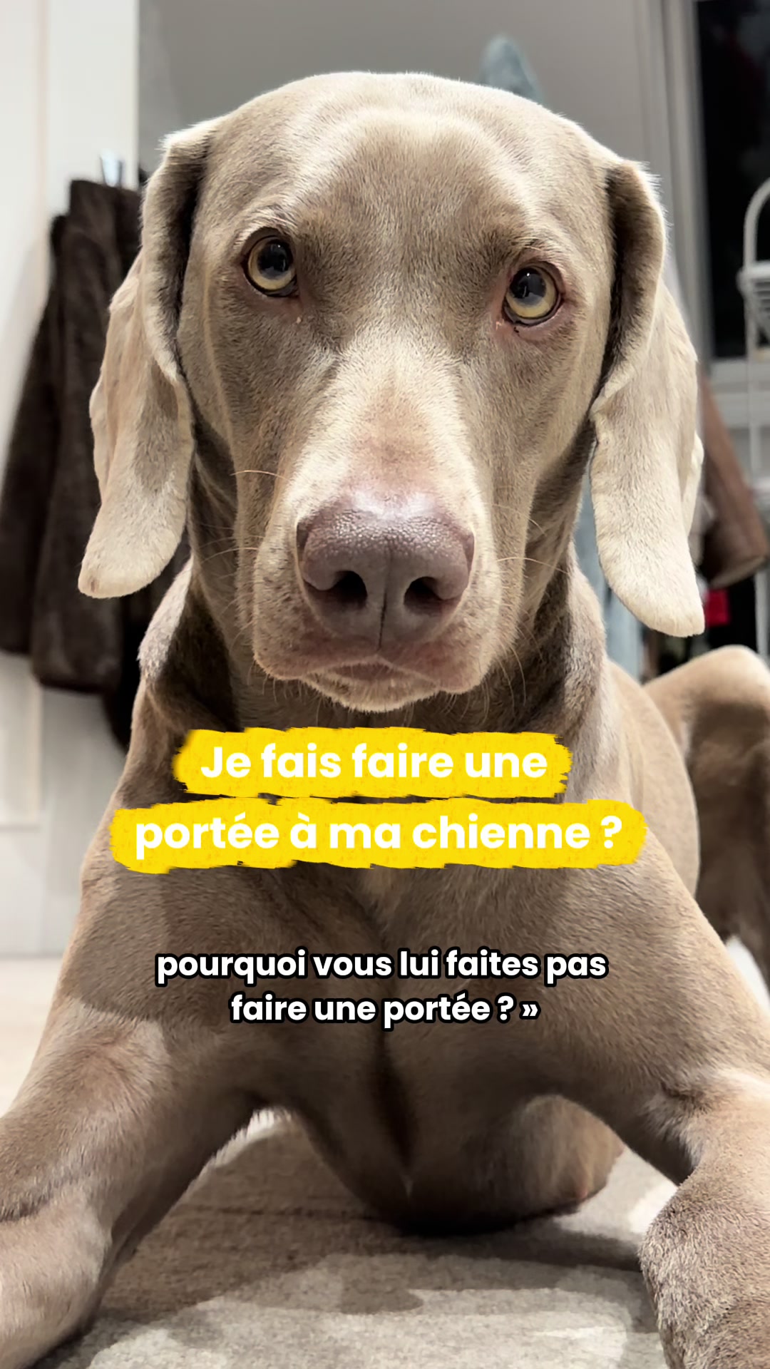 @Mathilde & ses animaux🌼